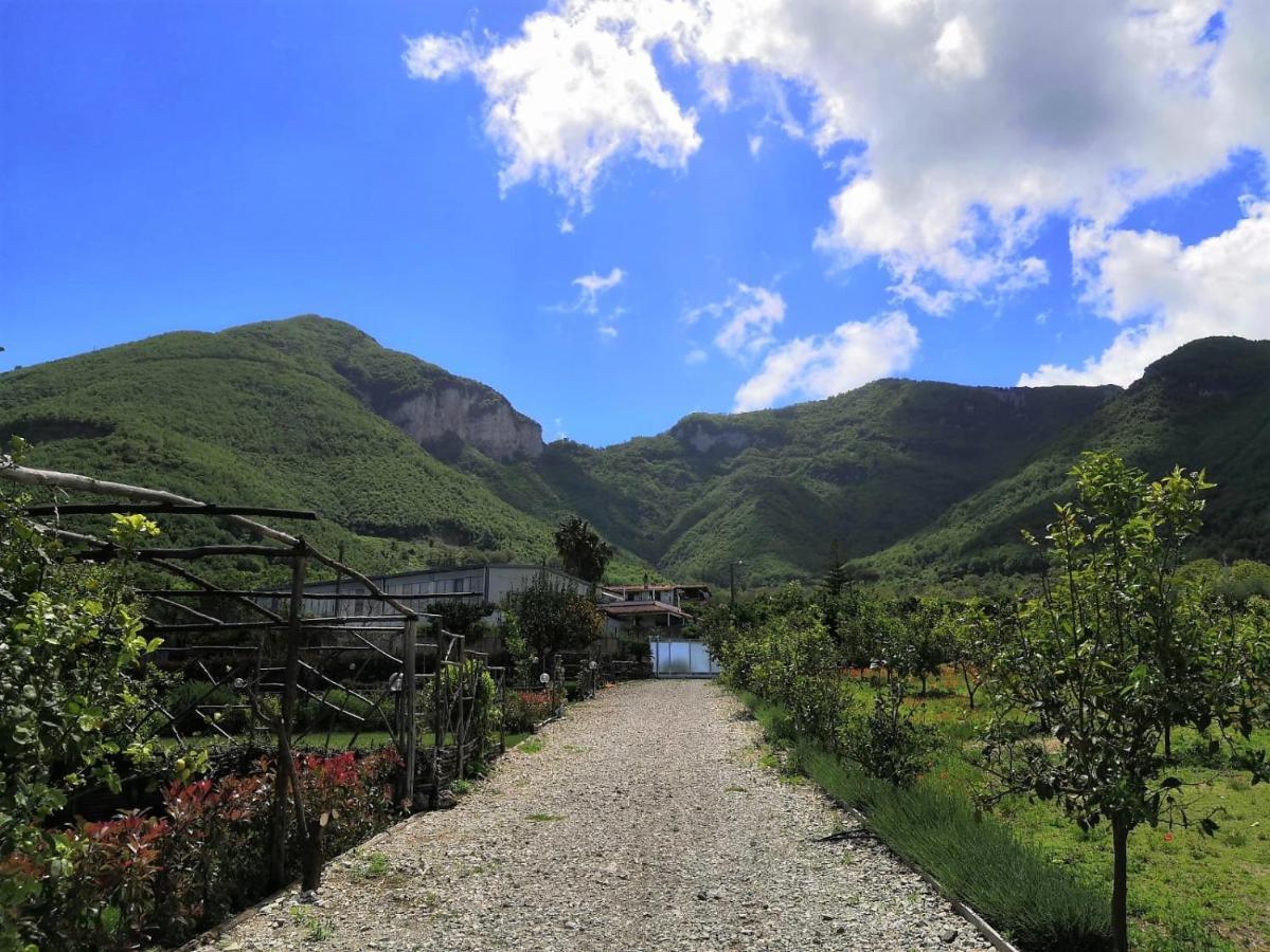 帕加尼Terra E Cielo住宿加早餐旅馆 外观 照片